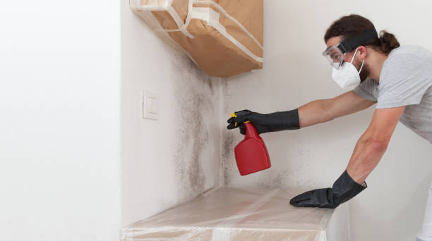 Professional Commercial Mold Remediation technician working in Essex, IL