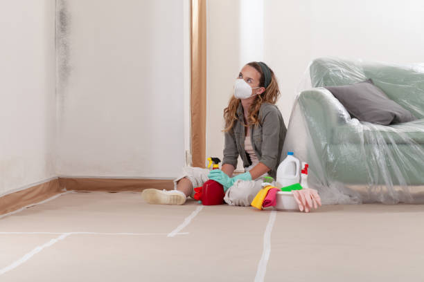 Reliable Commercial Mold Remediation contractor in Essex, IL by WQB Mold Removal